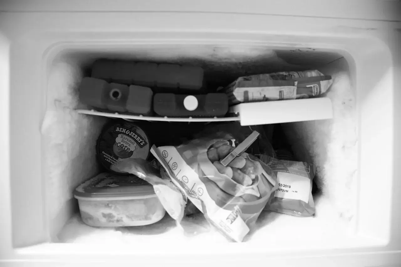 Defrosting the Freezer: Can You Keep Food in the Fridge